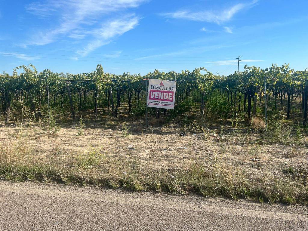 Terreno a Cerignola in Strada Provinciale 62 - Foto 3