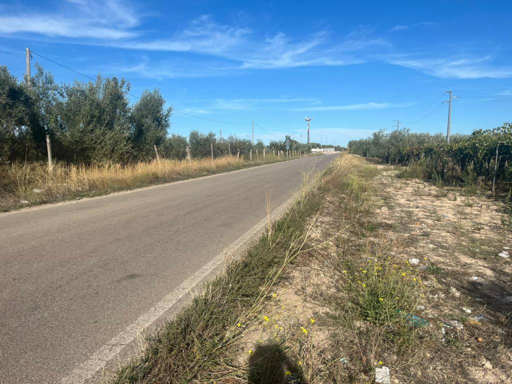 Terreno a Cerignola in Strada Provinciale 62 - Foto 4
