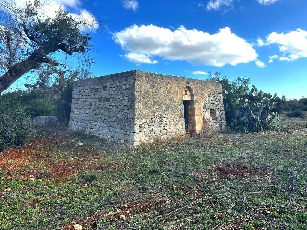 Rustico / casale a Carovigno in Contrada Favone - Foto 3