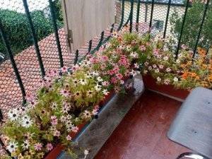 Appartamento a Monfalcone in callisto Cosulich - Foto 2