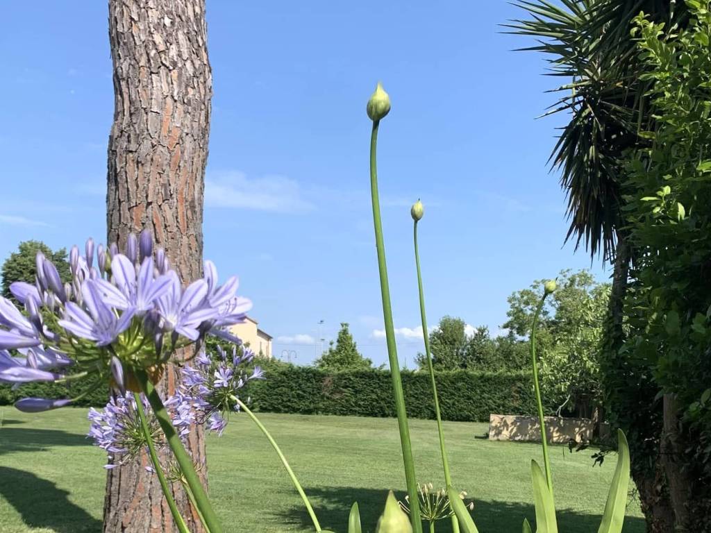 Villa a Cascina in Via della Chiesa, 10, 56021 - Foto 3