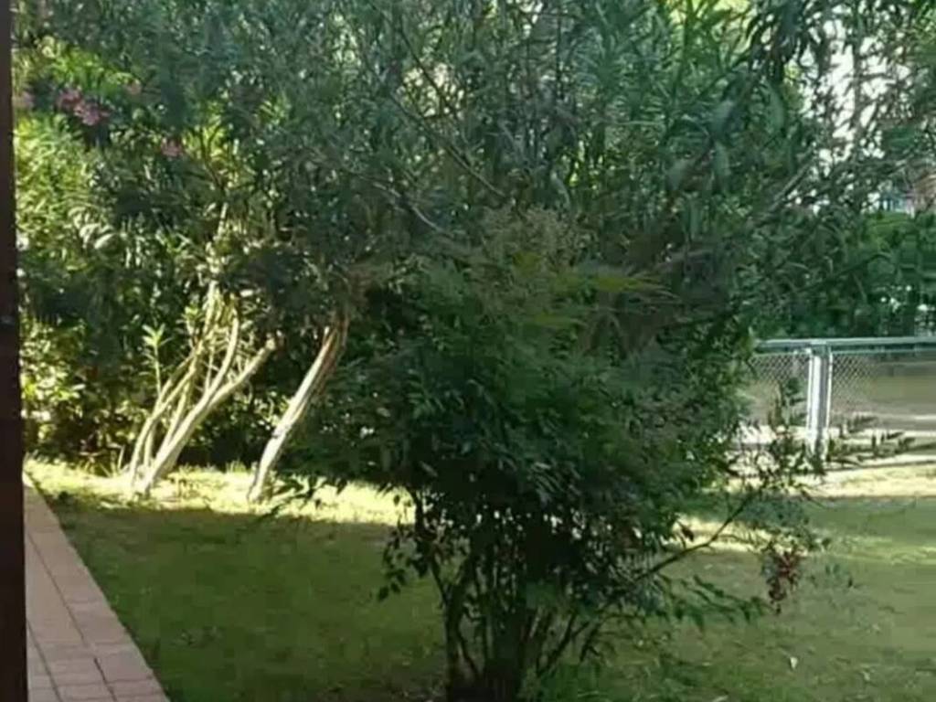 Appartamento a Cervia in Viale Giacomo Matteotti - Foto 5