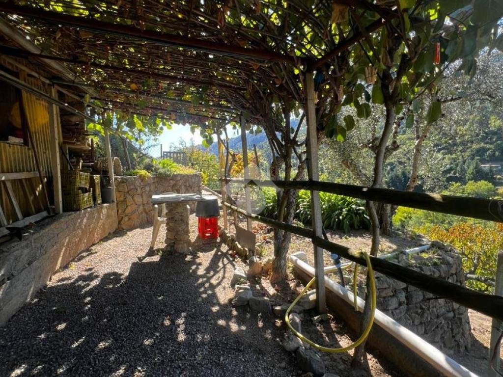 Terreno a Ceriana in STADA ISOLA - Foto 4