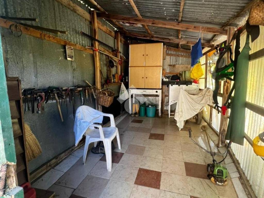 Terreno a Ceriana in STADA ISOLA - Foto 5