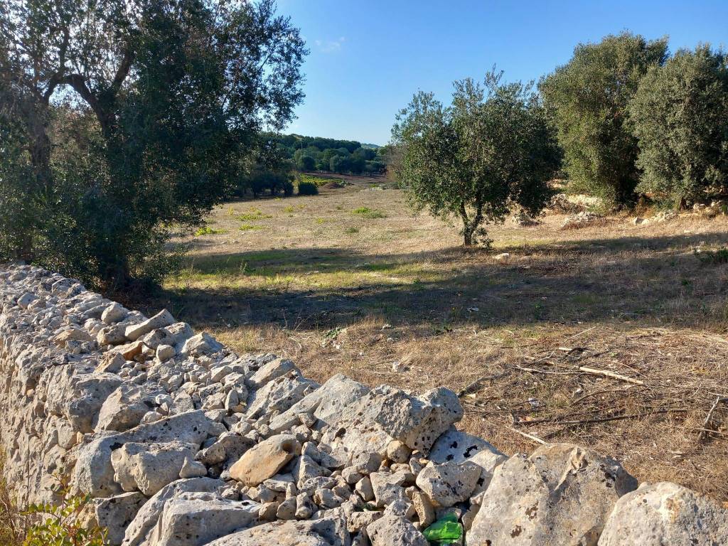 Terreno a Ostuni in Contrada Carmine di Vallegna - Foto 2