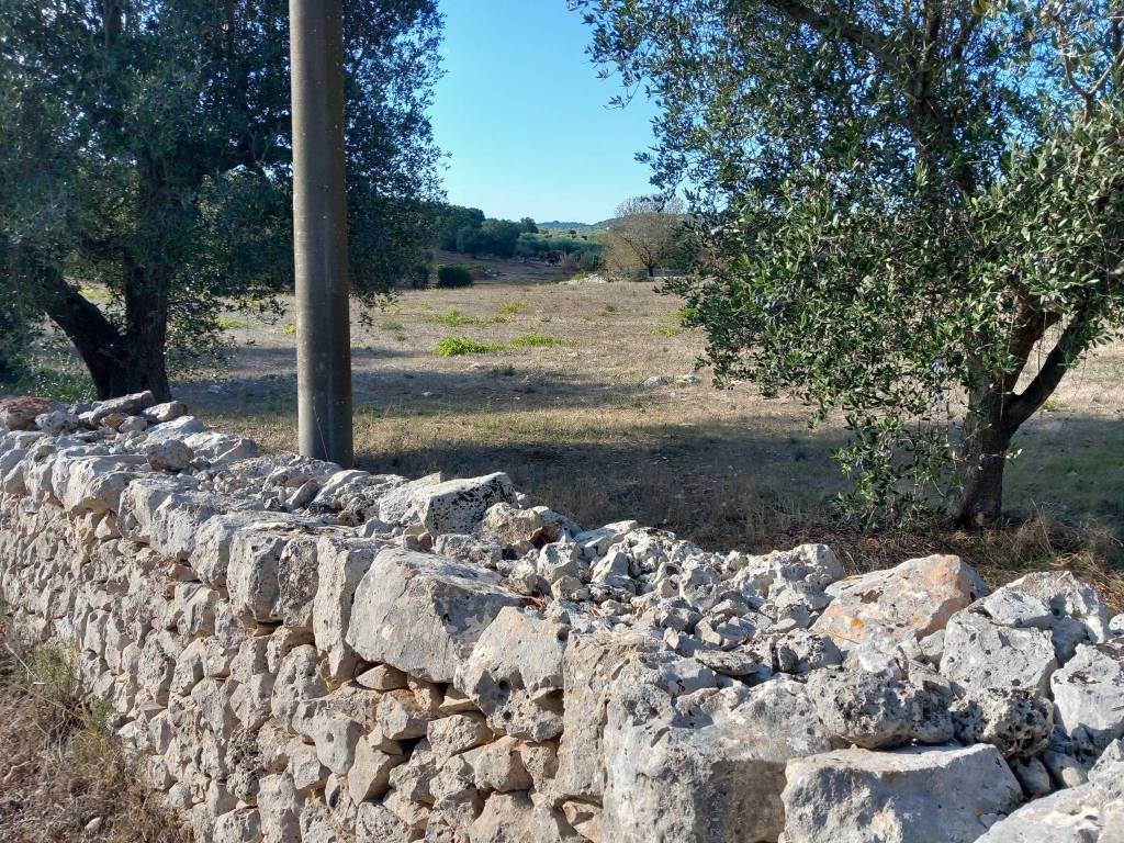 Terreno a Ostuni in Contrada Carmine di Vallegna - Foto 3