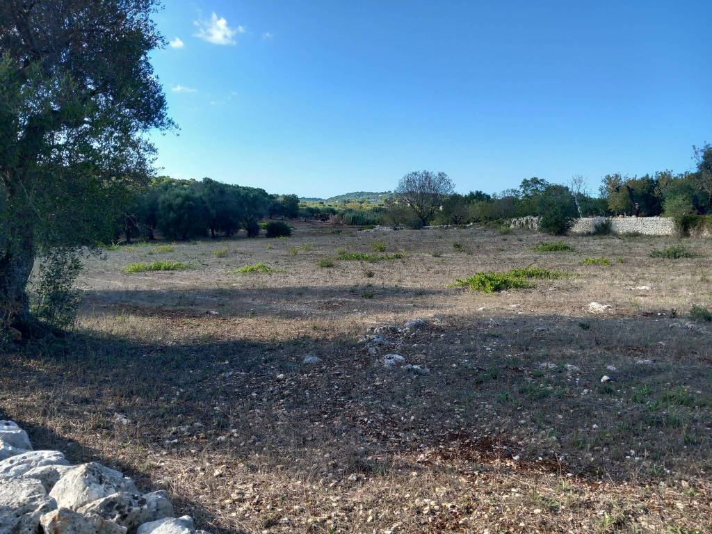 Terreno a Ostuni in Contrada Carmine di Vallegna - Foto 4