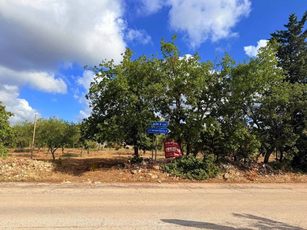 Terreno a Grumo appula in Grumo Appula - Foto 2