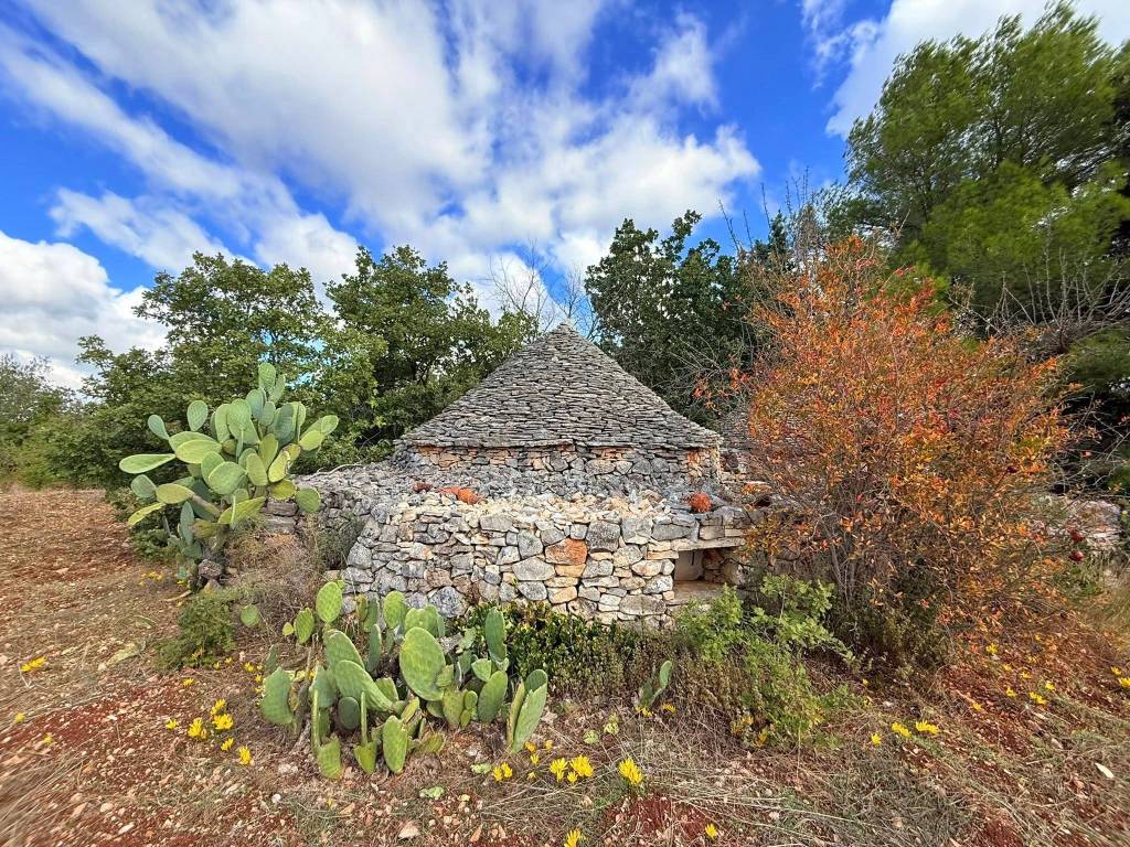 Terreno a Grumo appula in Grumo Appula - Foto 4