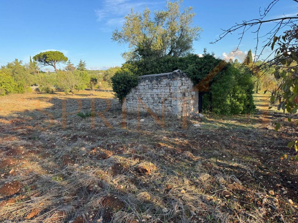 Immobile a Monopoli in Contrada San Bartolomeo - Foto 3
