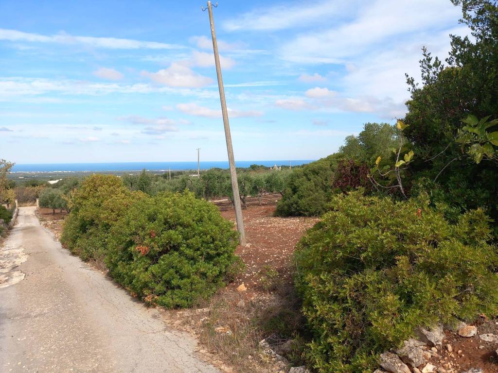 Terreno a Ostuni in Contrada San Giovanni - Foto 2
