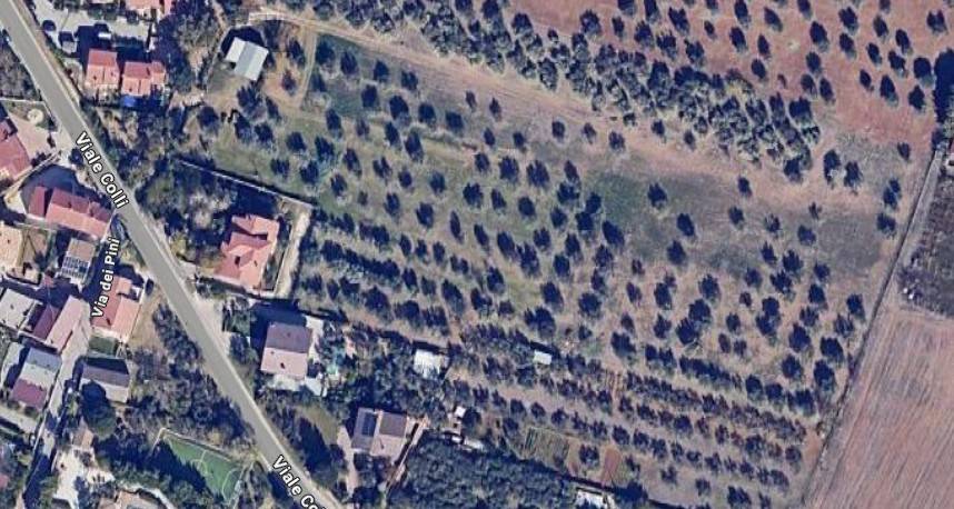 Villa a Rosciano in Via delle Magnolie - Foto 3
