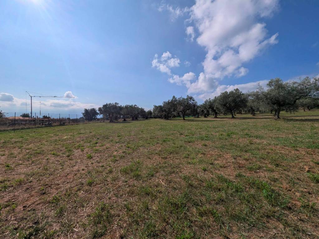 Villa a Rosciano in Via delle Magnolie - Foto 5
