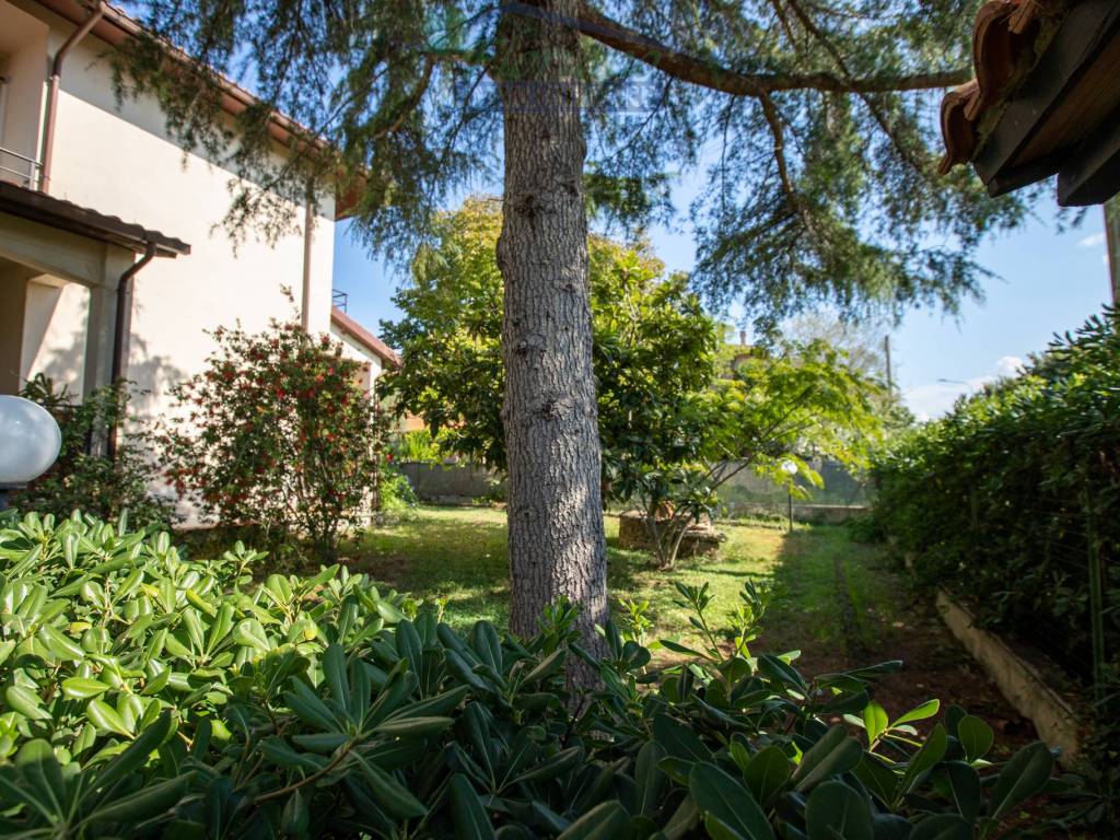 Villa a Capalbio in Via Torino - Foto 5