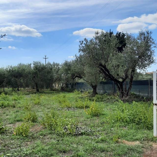 Terreno a Genzano di roma in Stradone Muti 1, 2 - Foto 2