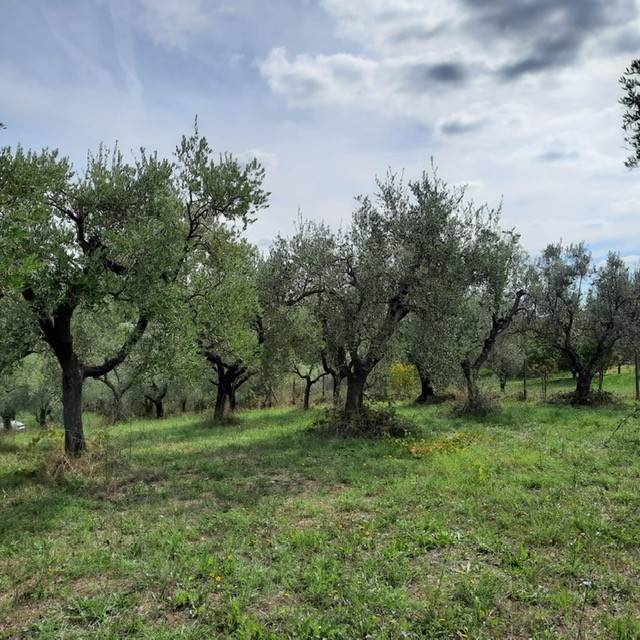 Terreno a Genzano di roma in Stradone Muti 1, 2 - Foto 4