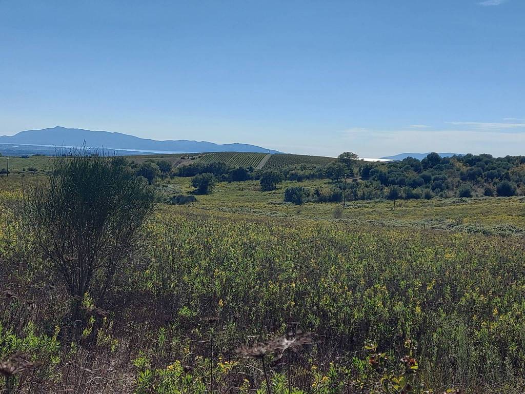 Terreno a Magliano in toscana in Località Sterpeti - Foto 3