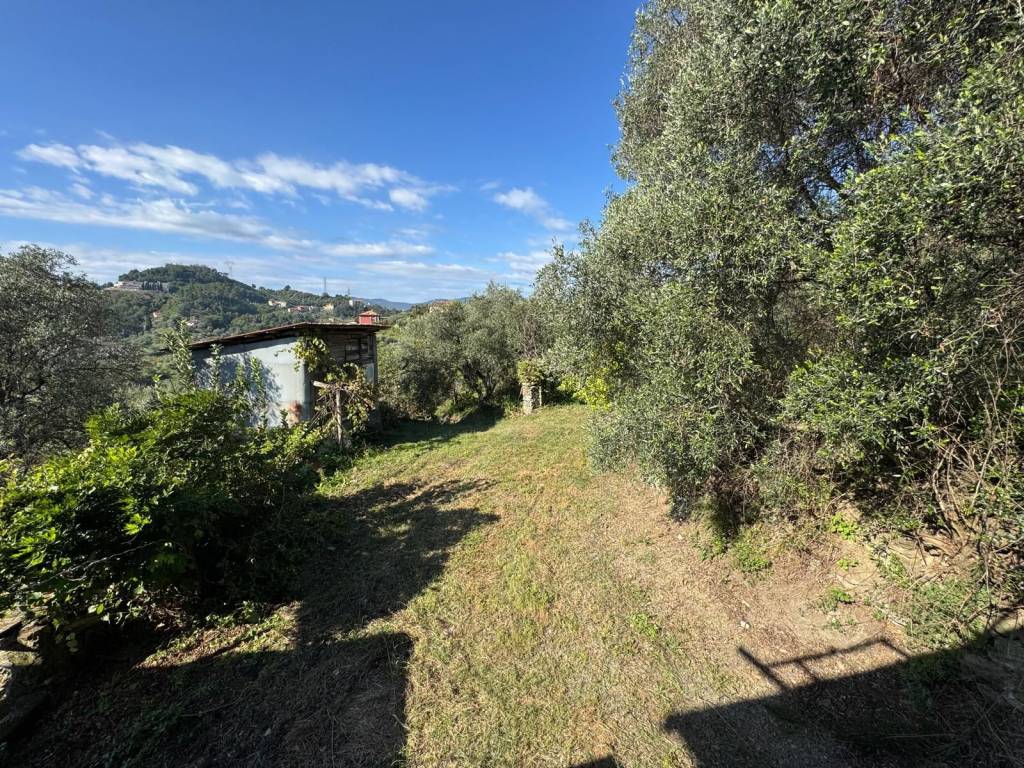 Rustico / casale a Arcola - Foto 3