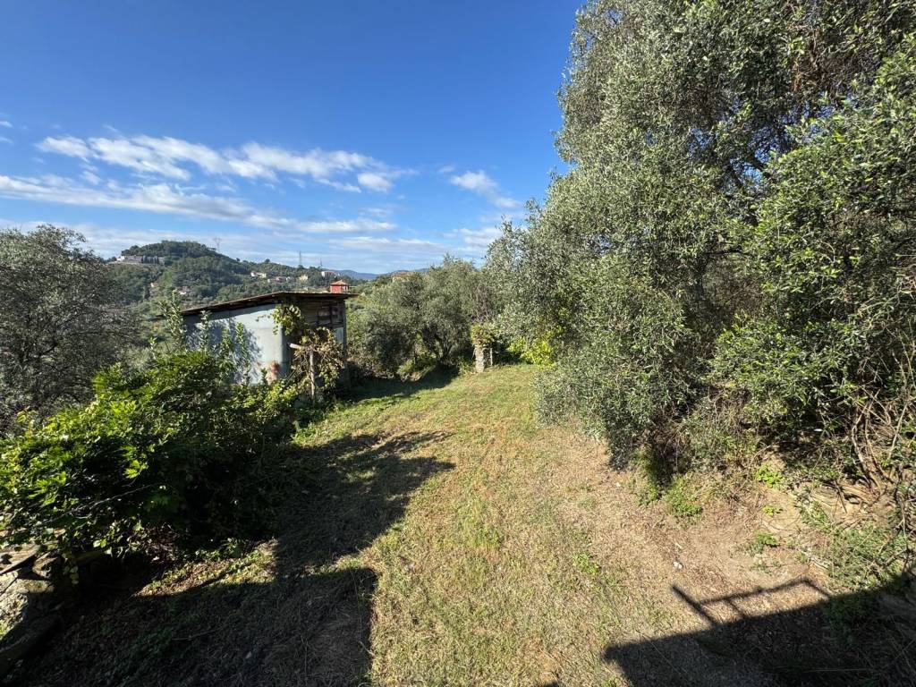 Rustico / casale a Arcola - Foto 4