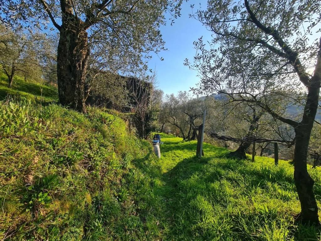 Terreno a Arcola in Via Predellara S.N.C. - Foto 2