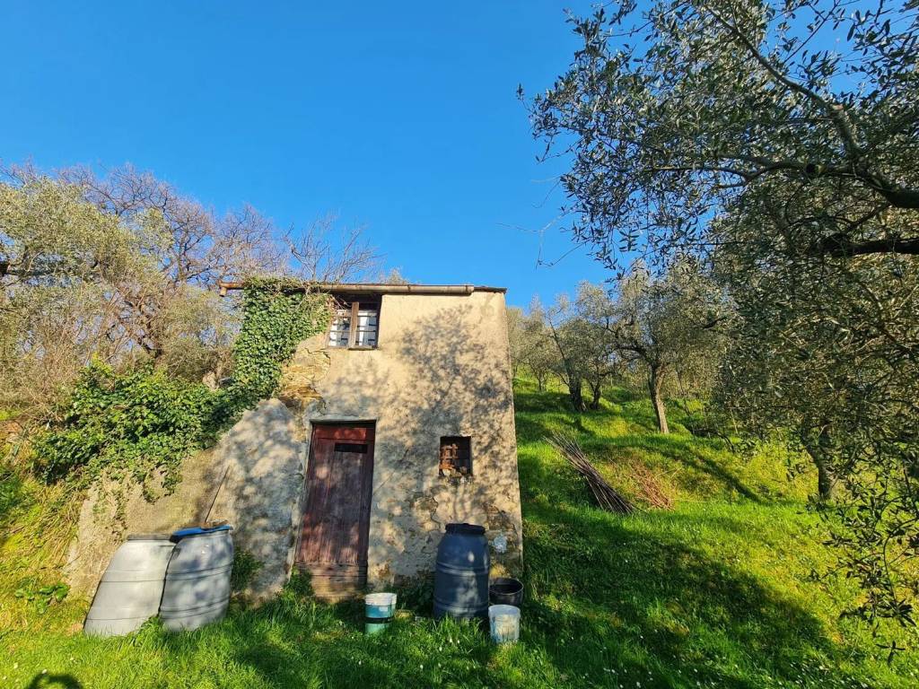 Terreno a Arcola in Via Predellara S.N.C. - Foto 3