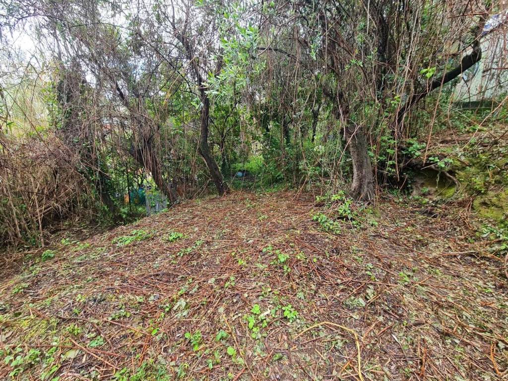 Terreno a Lerici in Via Gozzano 1^ Traversa, 13 - Foto 3