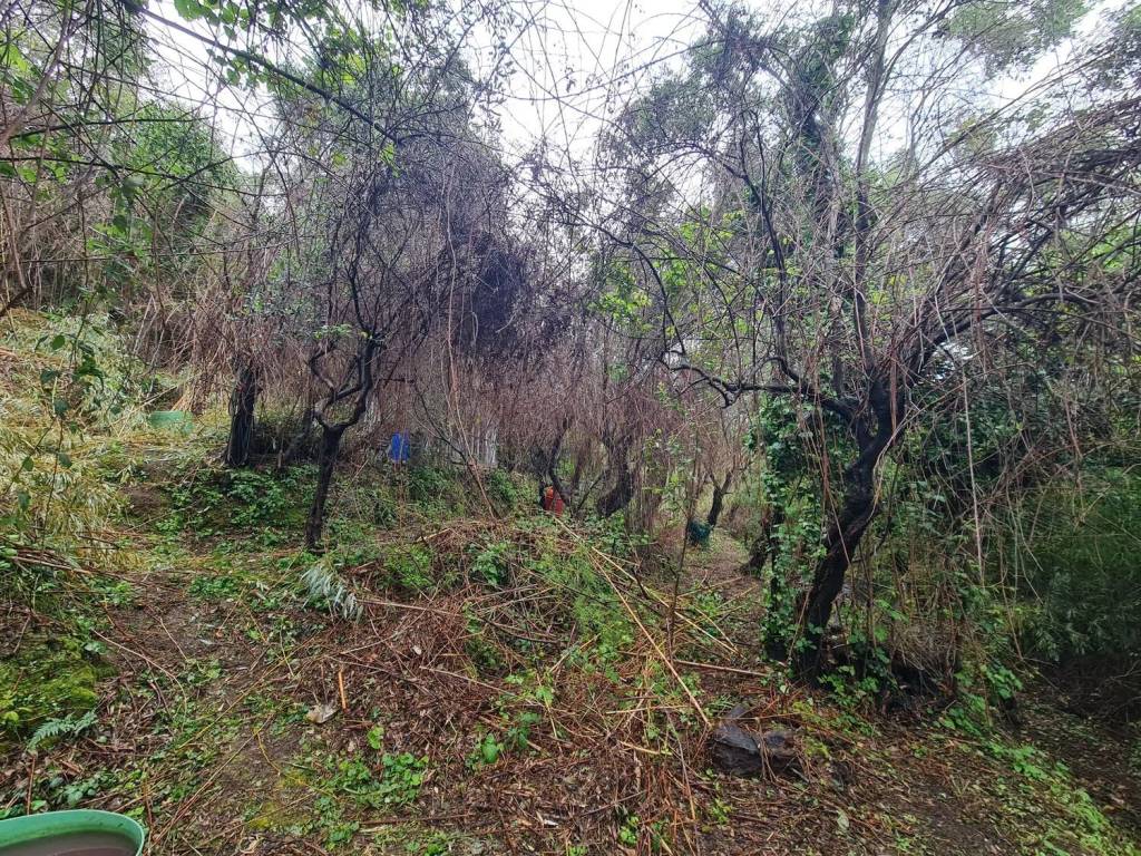 Terreno a Lerici in Via Gozzano 1^ Traversa, 13 - Foto 5