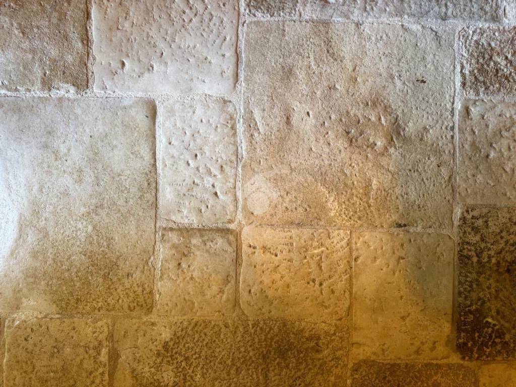 Rustico / casale a Monopoli in Contrada Cervarulo - Foto 4