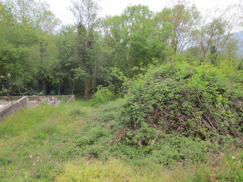 Terreno a Vignone in Via Motte - Foto 2