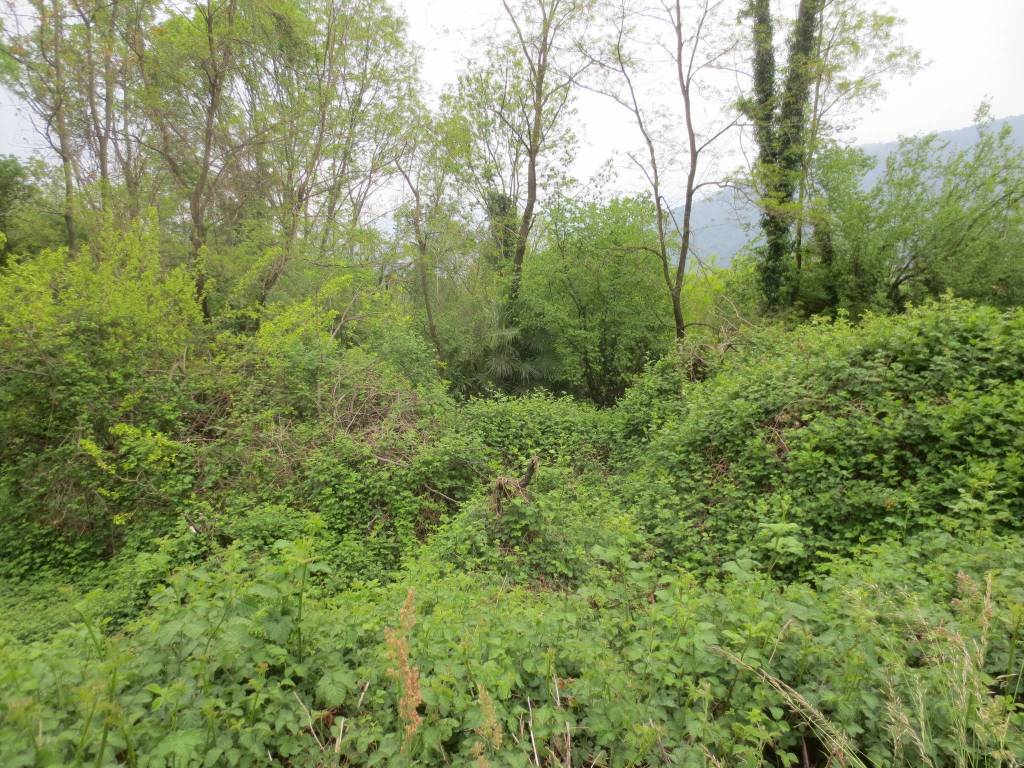 Terreno a Vignone in Via Motte - Foto 3
