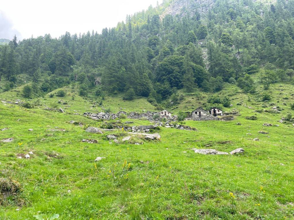 Terreno a Alto sermenza in Località Piemoncucco, 1 - Foto 5