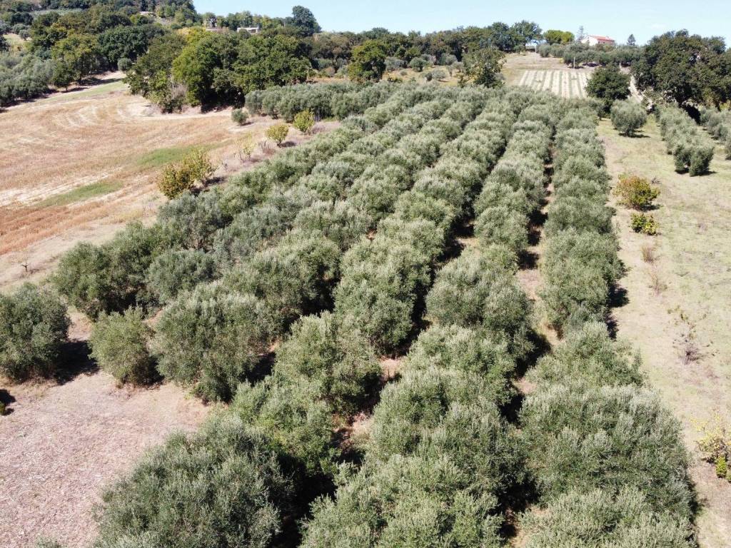 Rustico / casale a Potenza picena in Contrada Castelletta - Foto 2