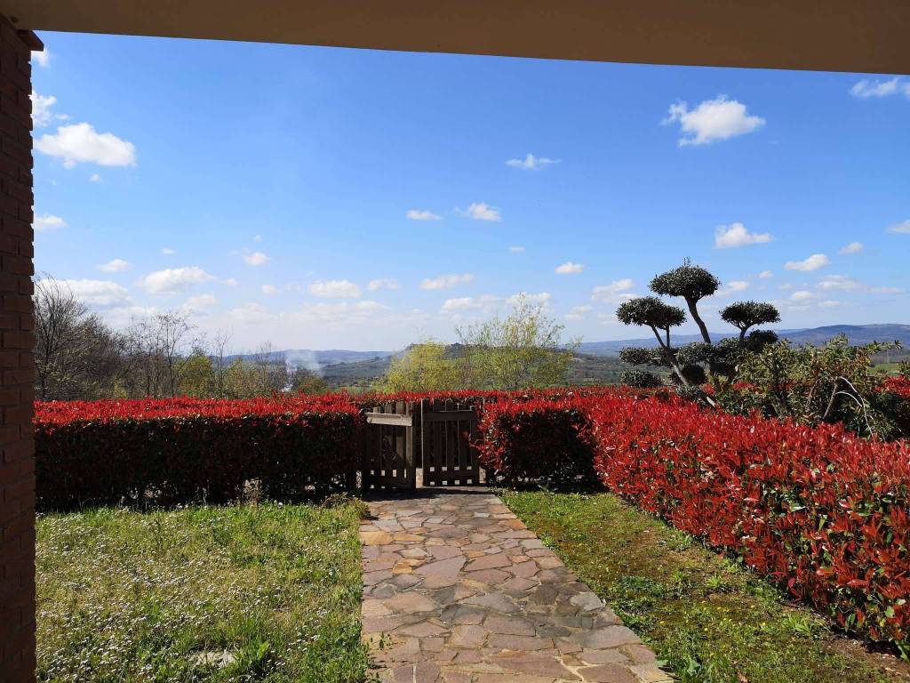 Appartamento a Manciano in Località Poggio Murella - Foto 2