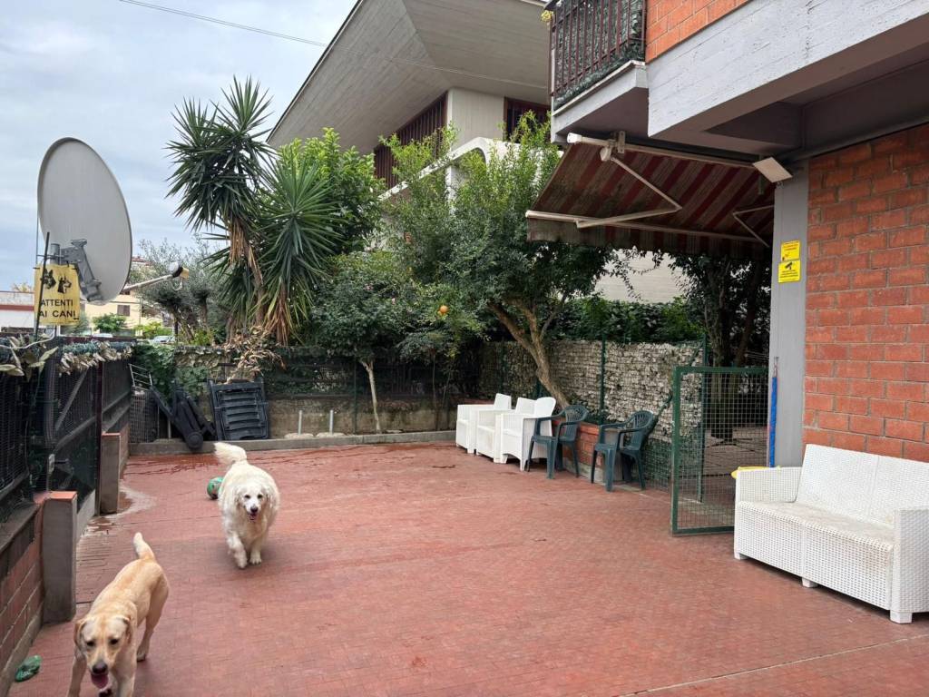 Appartamento a Campi bisenzio in Via Giosuè Carducci, 33 - Foto 4