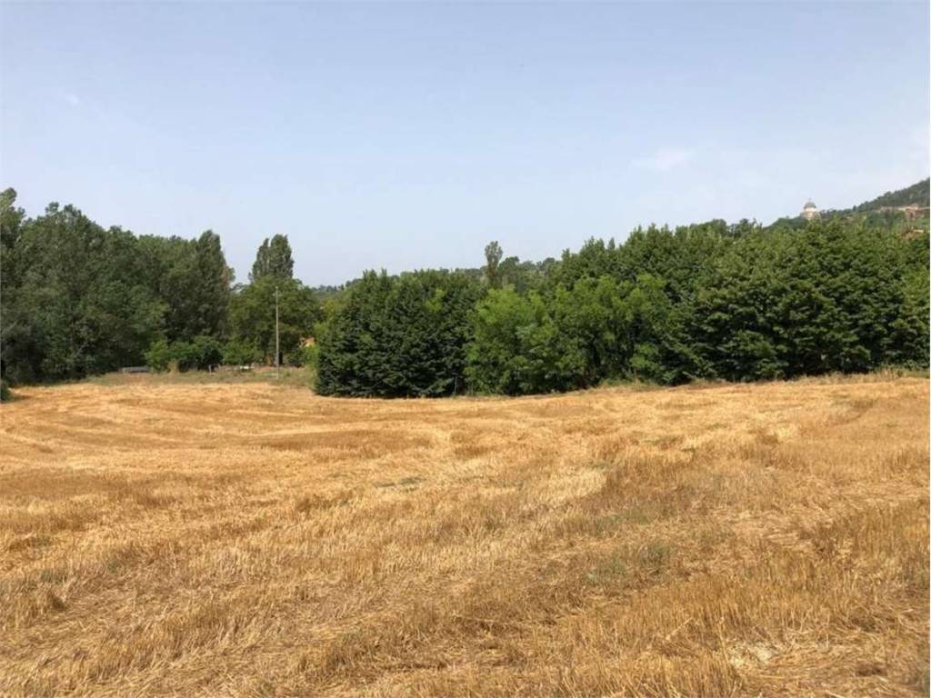 Terreno a Todi in delle piagge, 0 - Foto 3