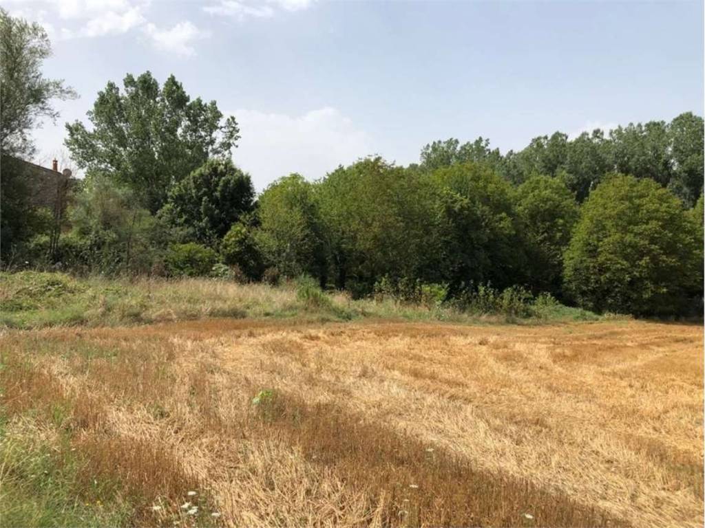 Terreno a Todi in delle piagge, 0 - Foto 4