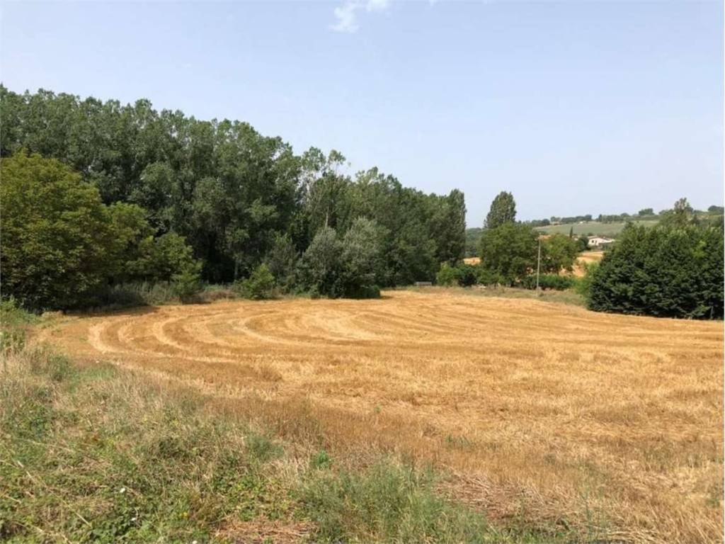 Terreno a Todi in delle piagge, 0 - Foto 5