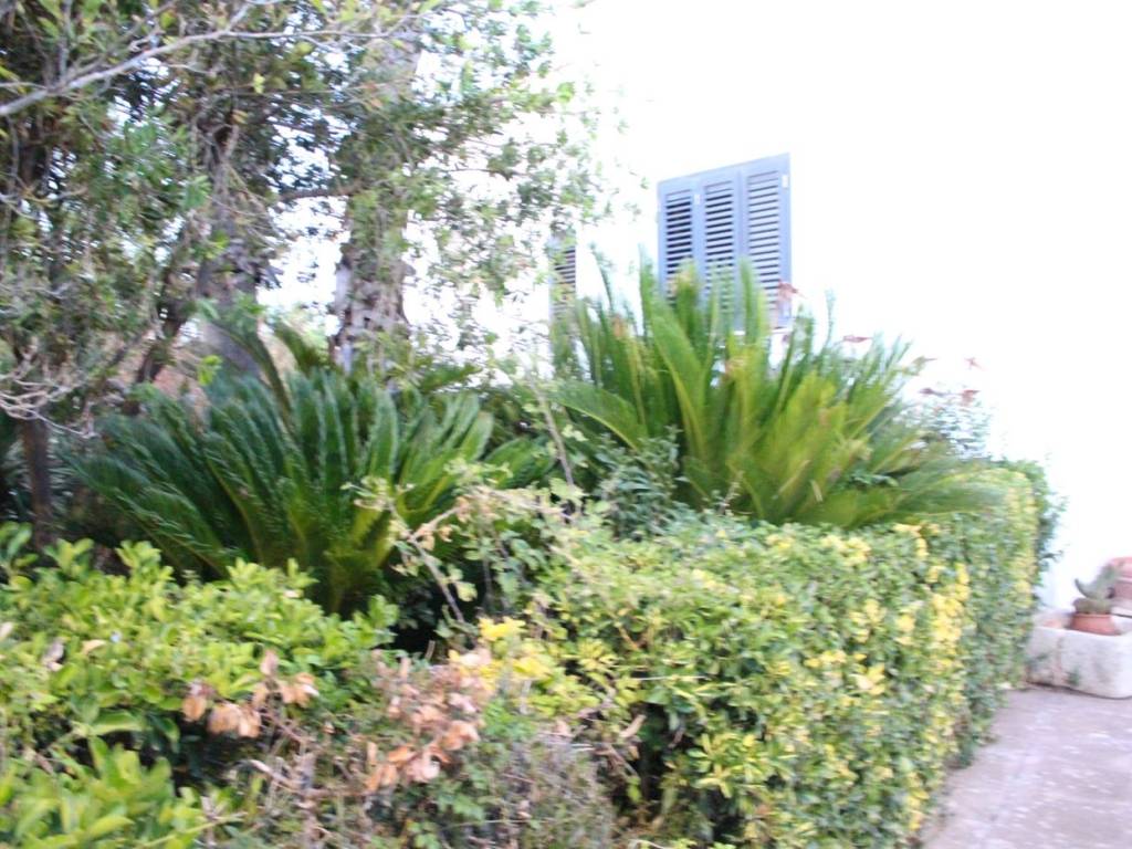 Villa a Manduria in Via Mele , 3 - Foto 5