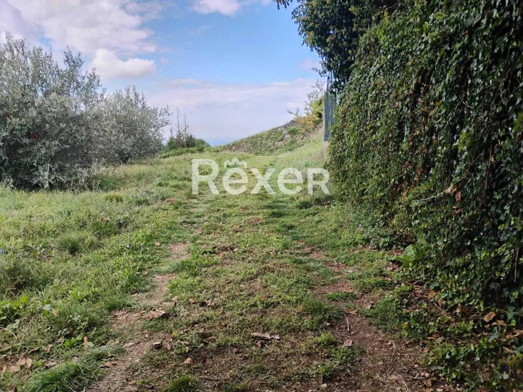 Terreno a Rocca priora in Via della Molara, 45 - Foto 2