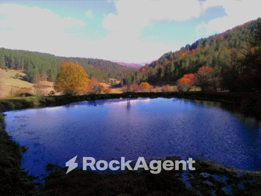 Terreno a Taverna in Ciricilla, Taverna CZ, Italia - Foto 3