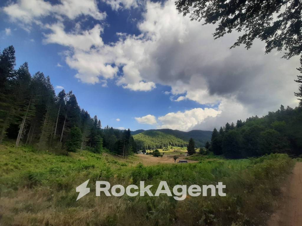 Terreno a Taverna in Ciricilla, Taverna CZ, Italia - Foto 4