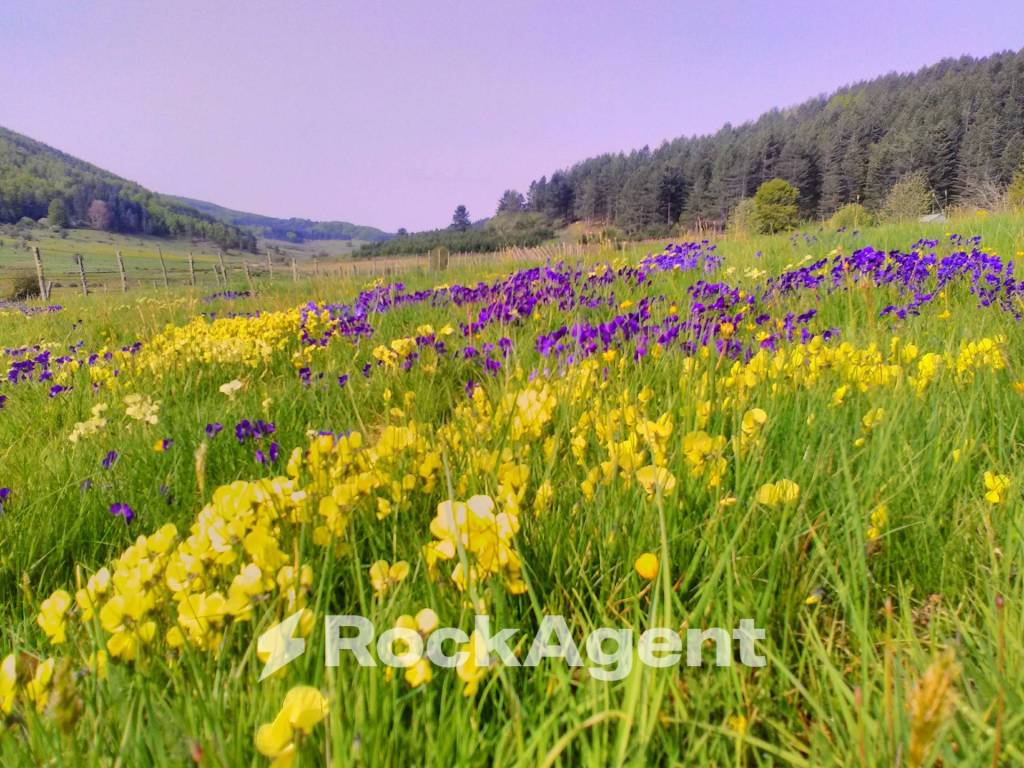 Terreno a Taverna in Ciricilla, Taverna CZ, Italia - Foto 5