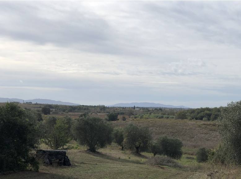 Rustico / casale a Magliano in toscana - Foto 5