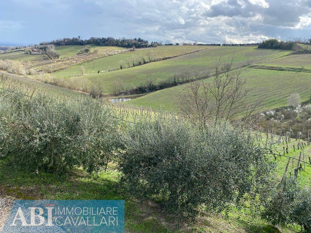 Terreno a Brisighella in VIA TEBANO 29 - Foto 3