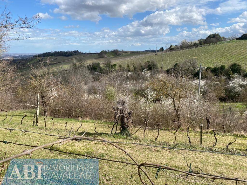Terreno a Brisighella in VIA TEBANO 29 - Foto 4