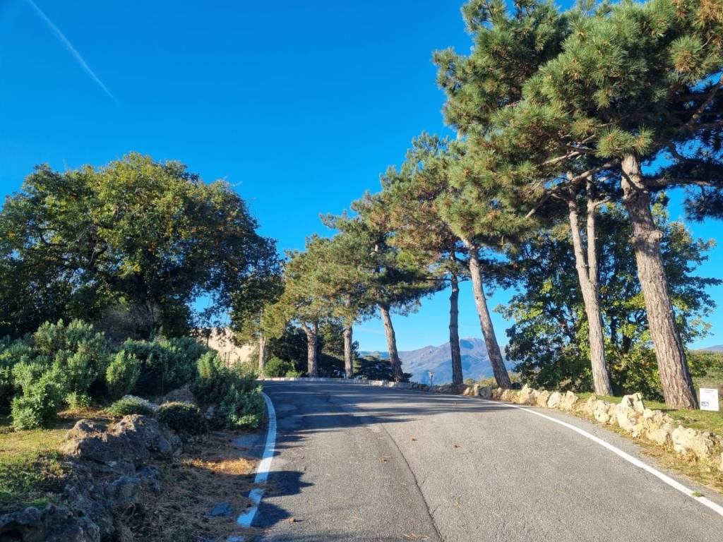 Villa a Finale ligure - Foto 4