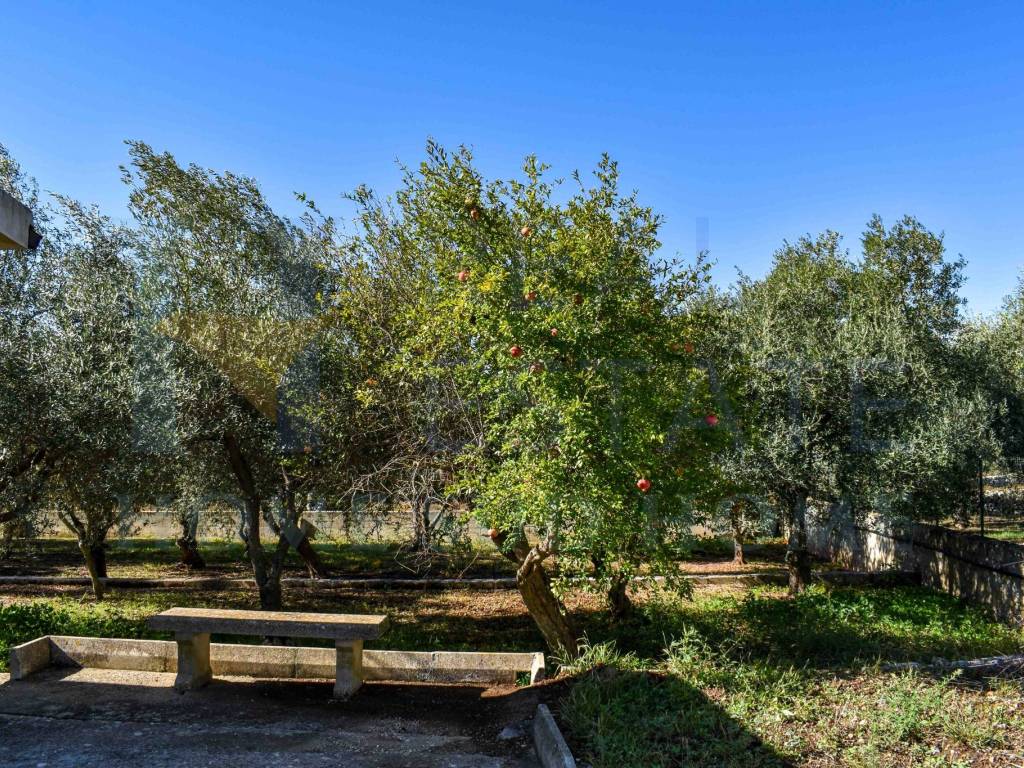 Villa a Noto in Via Tommaso Fazello, 228 - Foto 5
