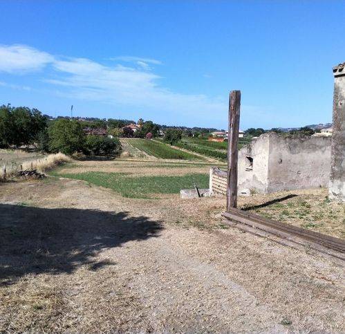 Rustico / casale a Collecorvino in Contrada Ferretti 31 - Foto 4