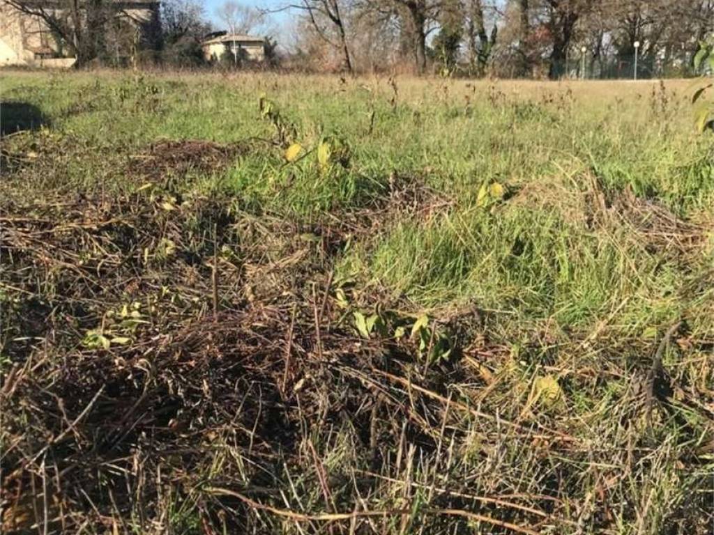 Terreno a Bettona in Perugia, 0 - Foto 2