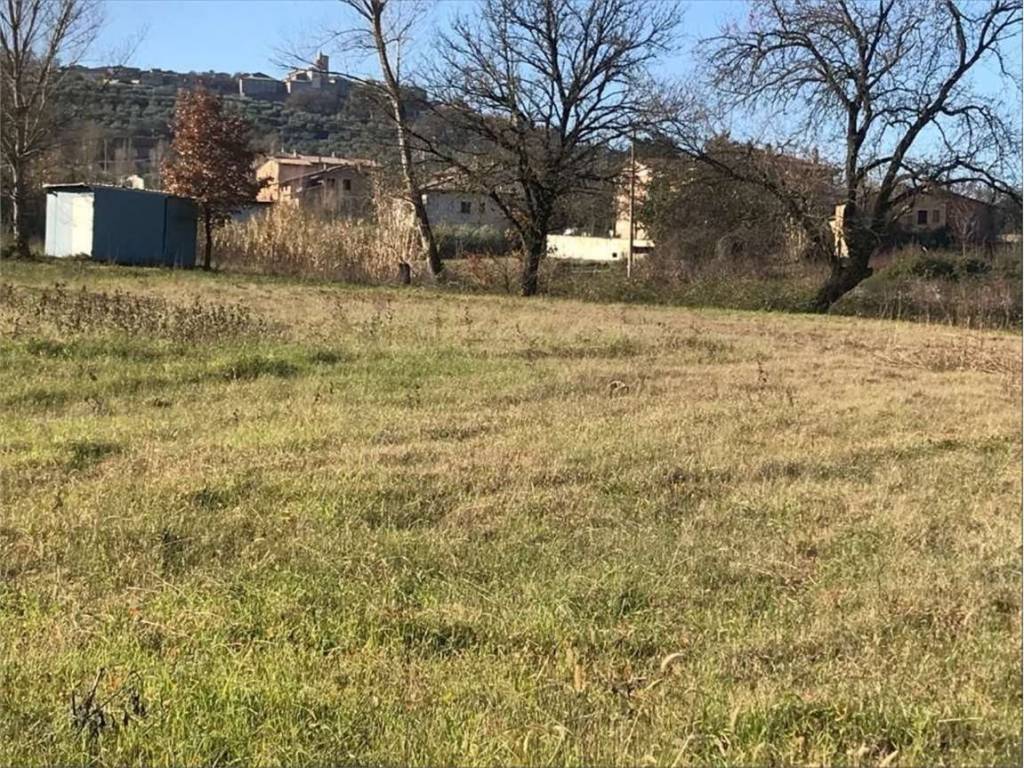 Terreno a Bettona in Perugia, 0 - Foto 4